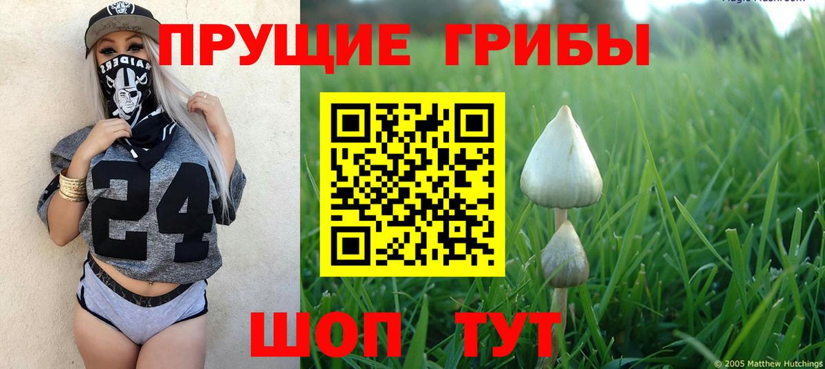 Галлюциногенные грибы GOLDEN TEACHER  Вход с VPN  продажа наркотиков  Галлюциногенные грибы Magic Shrooms  Рязань 